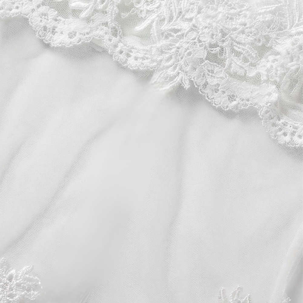 Veluria™ – Embroidered Lace Sheer Slip Dress