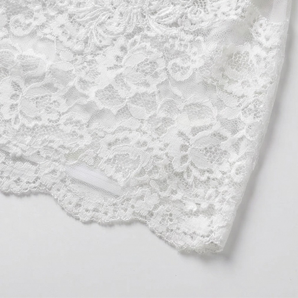 Veluria™ – Embroidered Lace Sheer Slip Dress