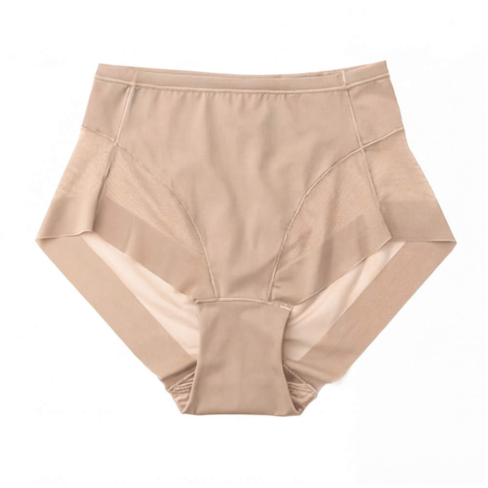Wearbella™ – Seamless Mesh Panel Everyday Panties