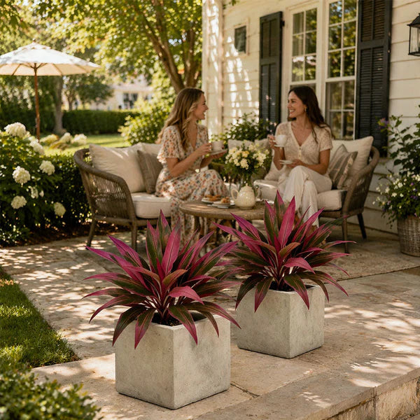 Verdara™ – Vibrant Faux Cordyline Plant Set