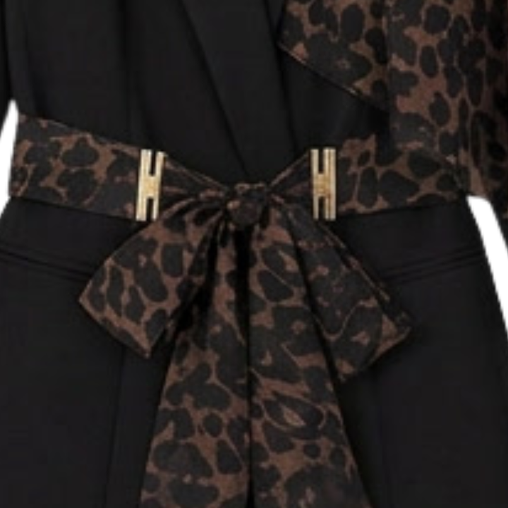 Selvana™ – Leopard Accent Blazer and Pants Set
