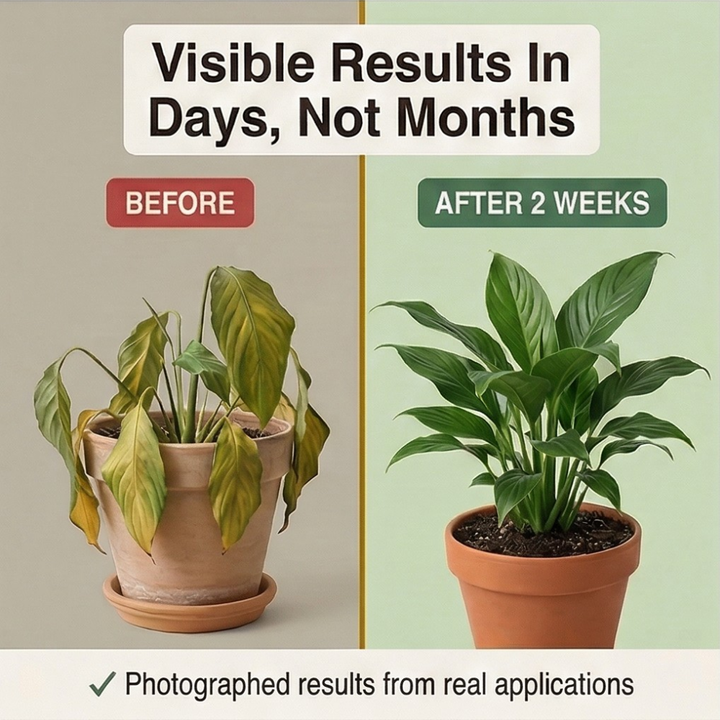 Rootvive™ – Mineral Source Soil Activator for Healthier Plants