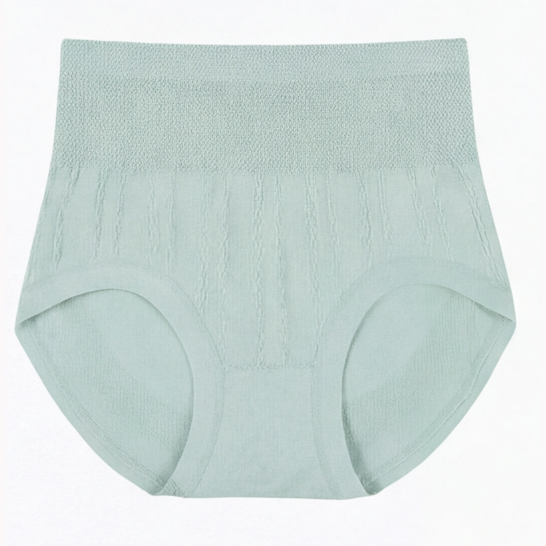SleekHips™ – High Waisted Leakproof Panties