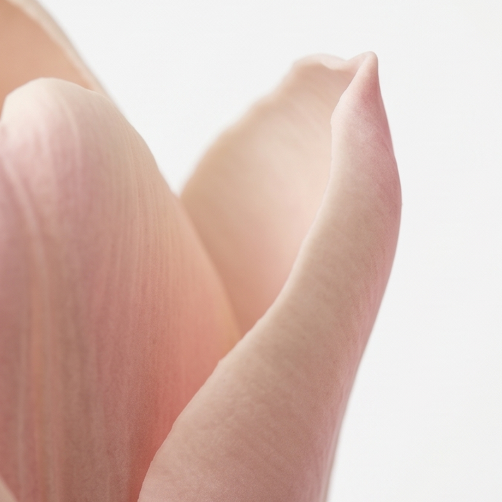 Lumora™ – Real Touch Tulip Bouquet