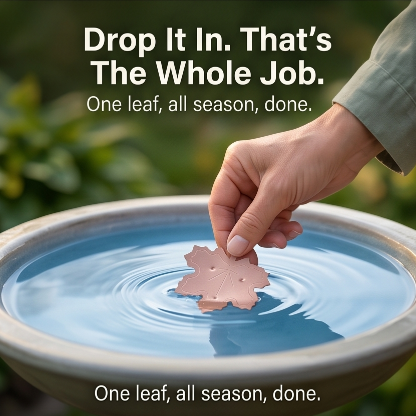 Coppera™ — Copper Leaf Bird Bath Purifier for Algae