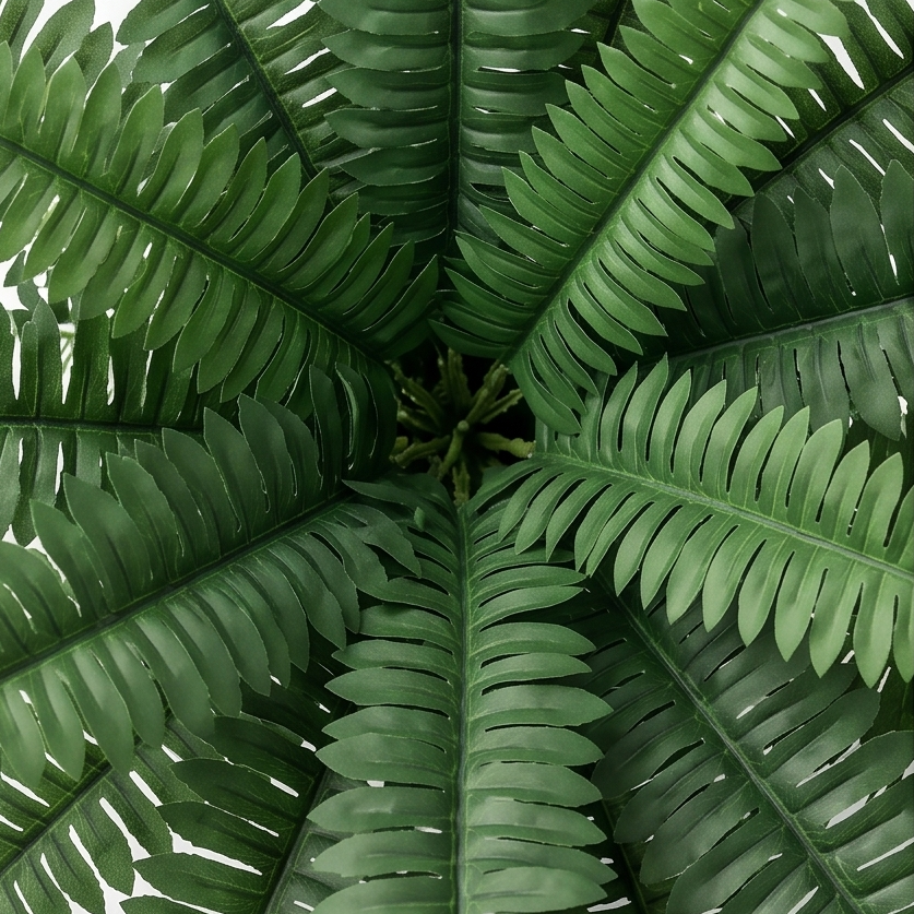 Fernly™ – Realistic Artificial Boston Fern