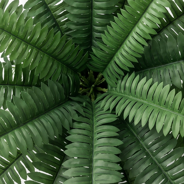 Fernly™ – Realistic Artificial Boston Fern