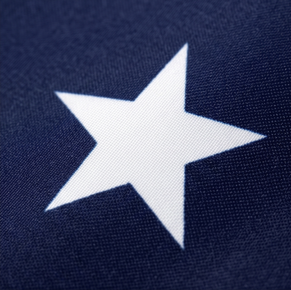 Libertara™ – 250th Anniversary America Fan Flag