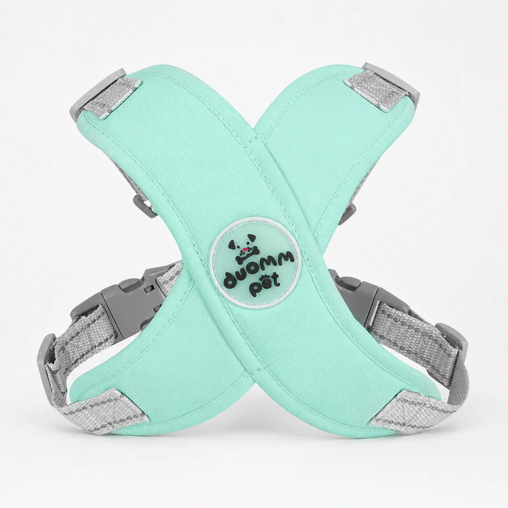 Pawlyn – X Frame No Pull Dog Harness and Leash Set for Small Breeds